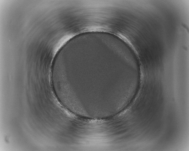 X0000102491277200808291641