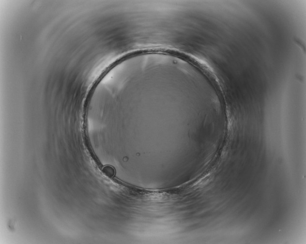 X0000102491279200808291641