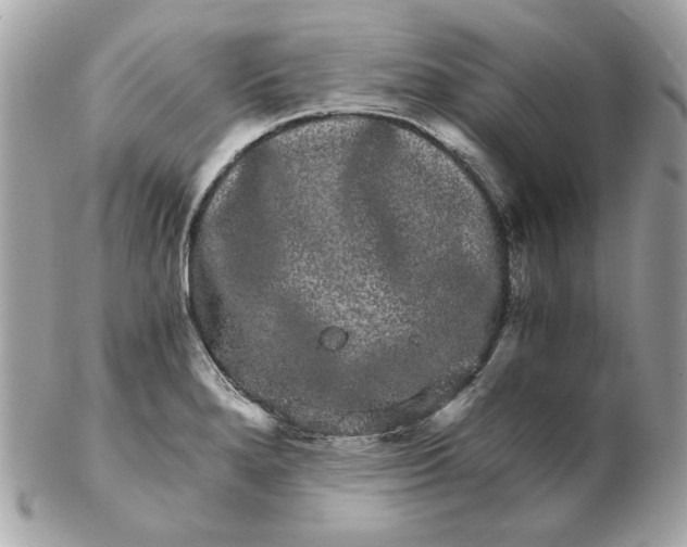 X0000102491280200808291641