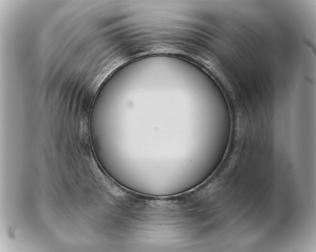 X0000102491281200808291641