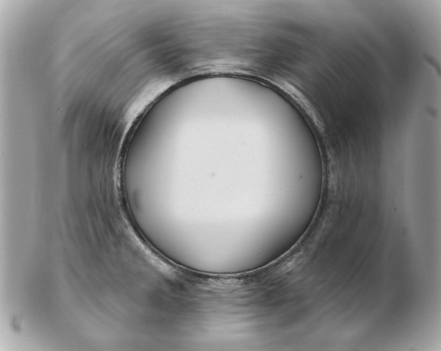 X0000102491285200808291641