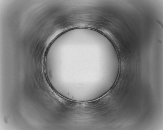 X0000102491286200808291641