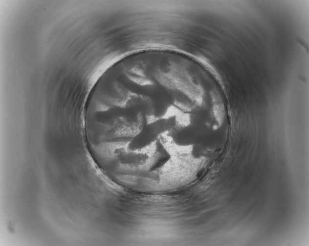 X0000102491287200808291641