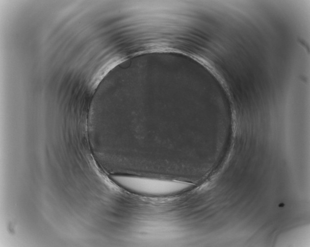 X0000102491289200808291641