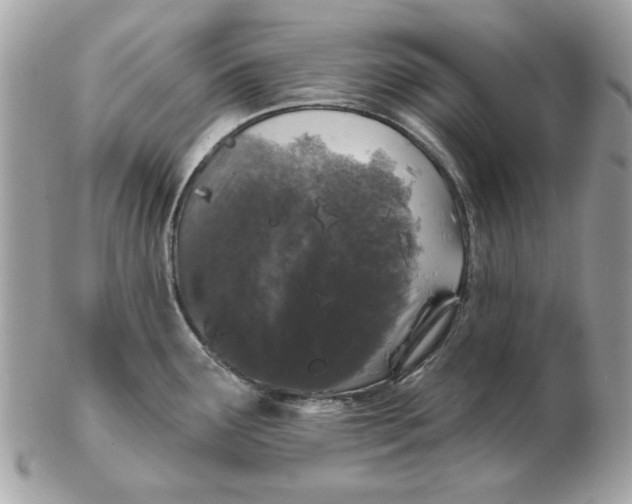 X0000102491291200808291641