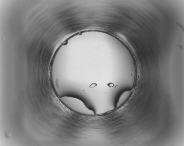 X0000102491292200808291641