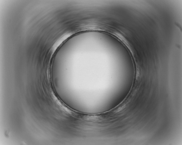 X0000102491293200808291641