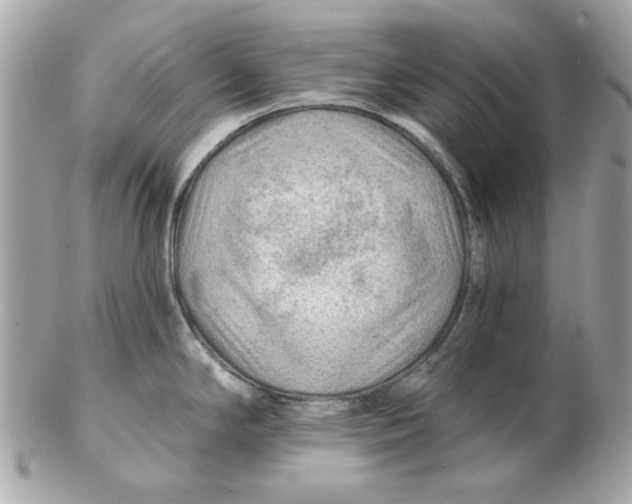 X0000102491294200808291641