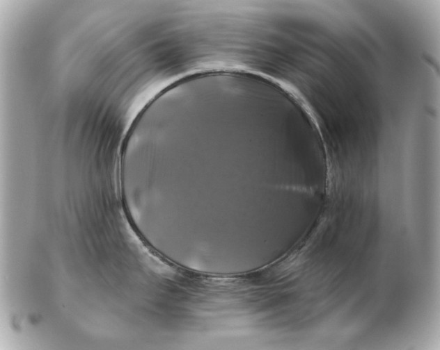 X0000102491295200808291641