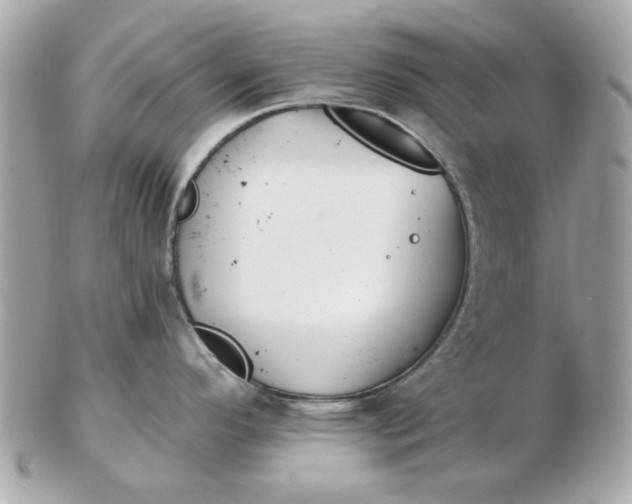 X0000102491296200808291641