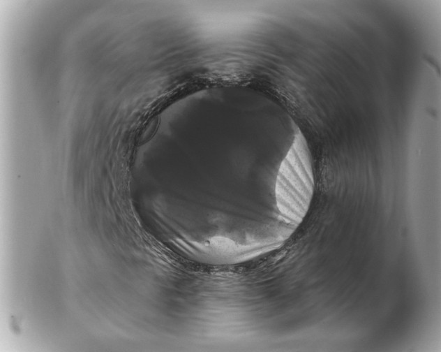 X0000102491297200808291640