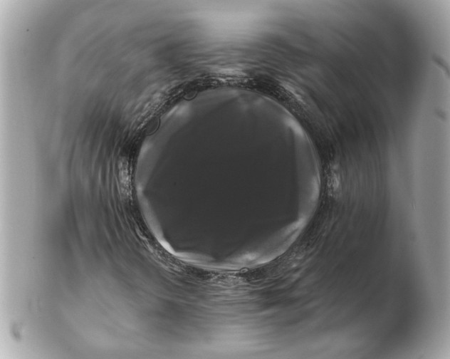 X0000102491298200808291640