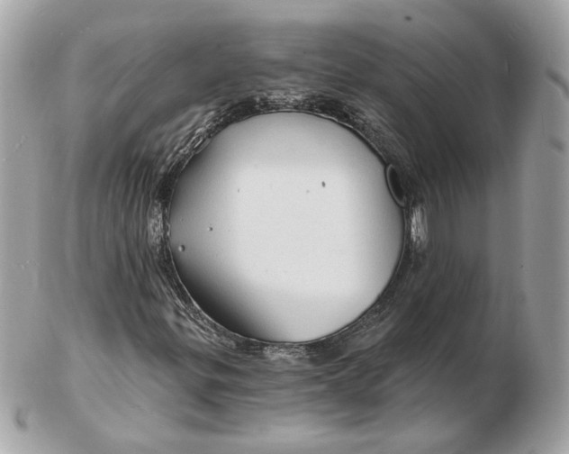 X0000102491299200808291640