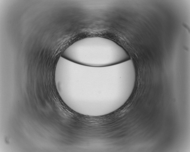 X0000102491300200808291640