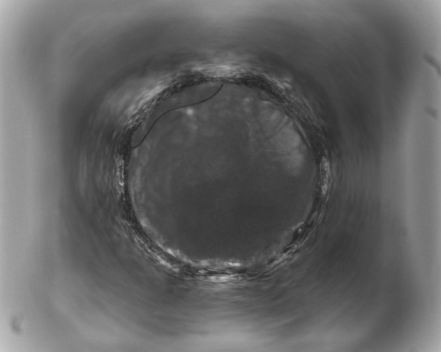 X0000102491301200808291640