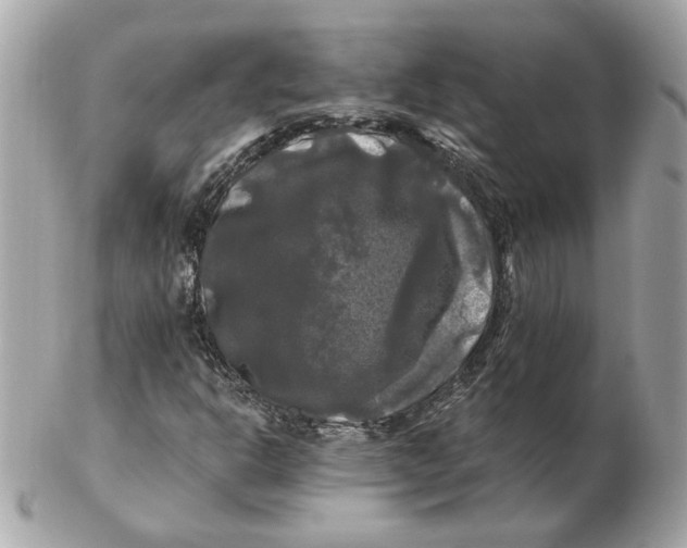 X0000102491302200808291640