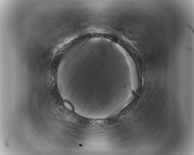 X0000102491303200808291640