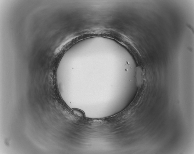 X0000102491304200808291640