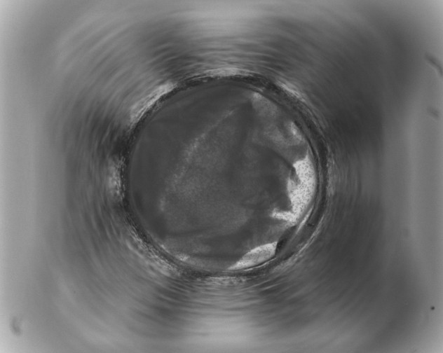 X0000102491305200808291640