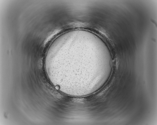 X0000102491309200808291640