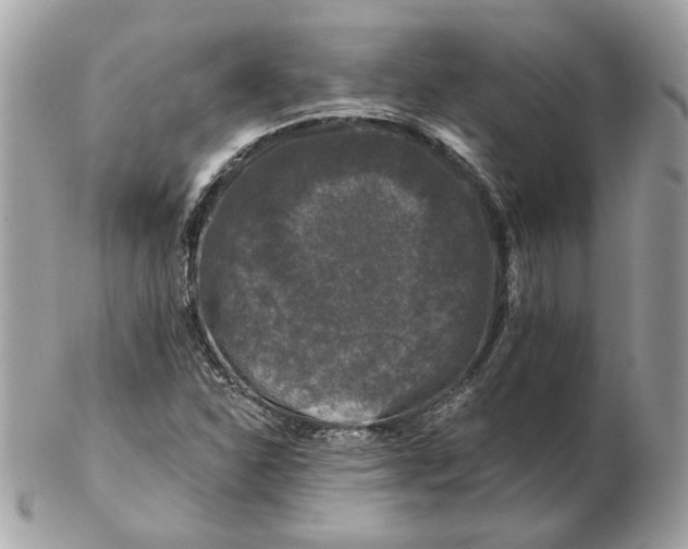 X0000102491310200808291640