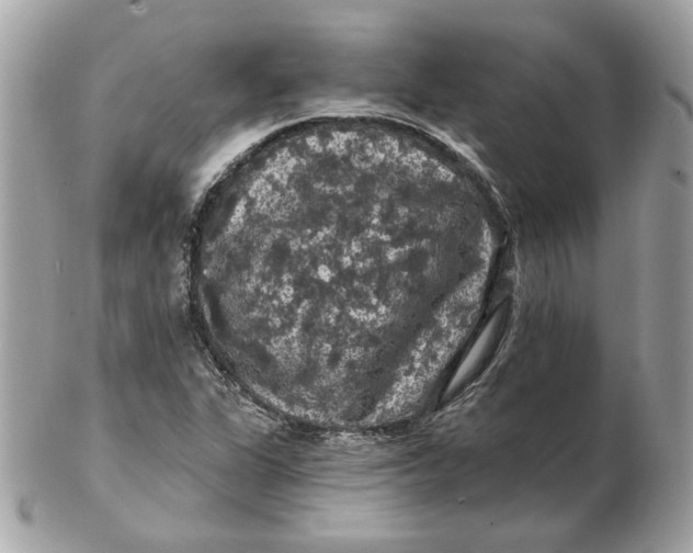 X0000102491311200808291640