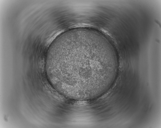 X0000102491313200808291640