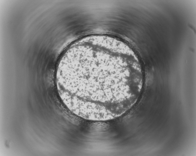 X0000102491314200808291640