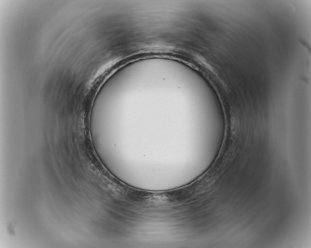 X0000102491315200808291640