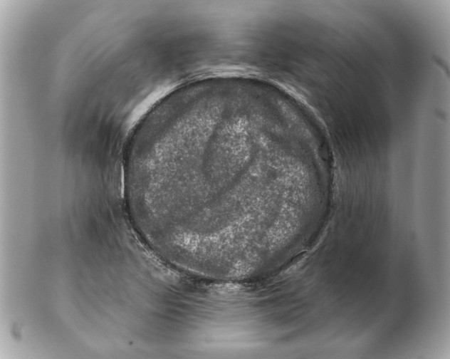 X0000102491317200808291640