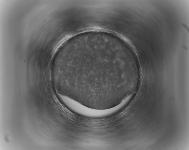 X0000102491318200808291640