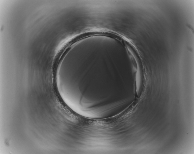 X0000102491319200808291640