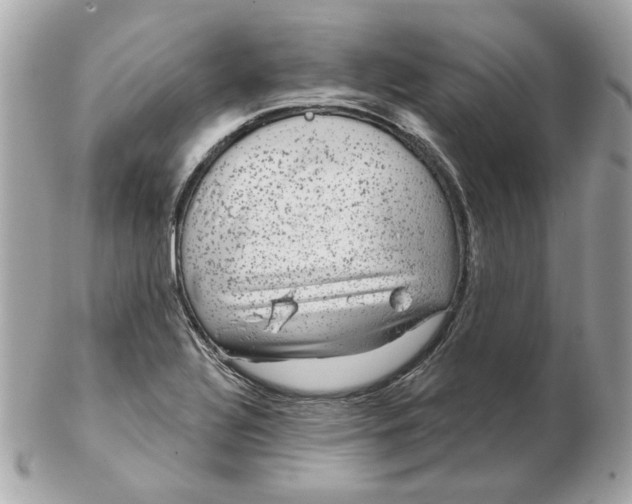 X0000102491320200808291640