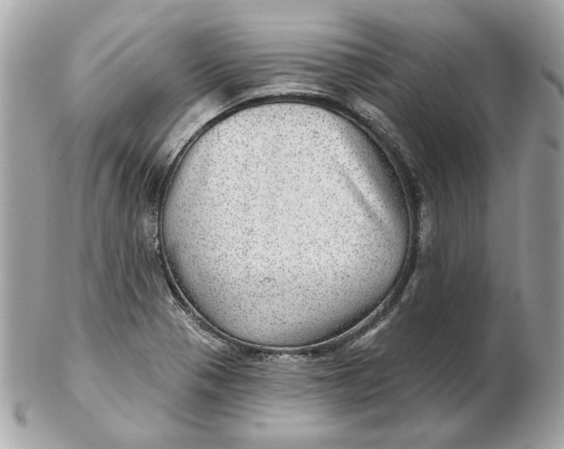 X0000102491321200808291640