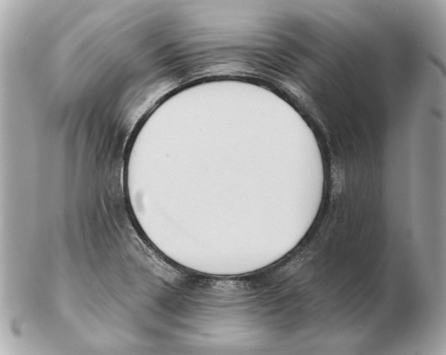 X0000102491322200808291640