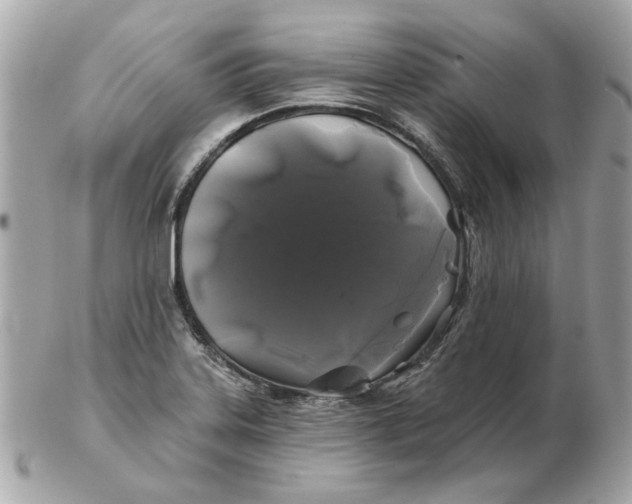 X0000102491323200808291640