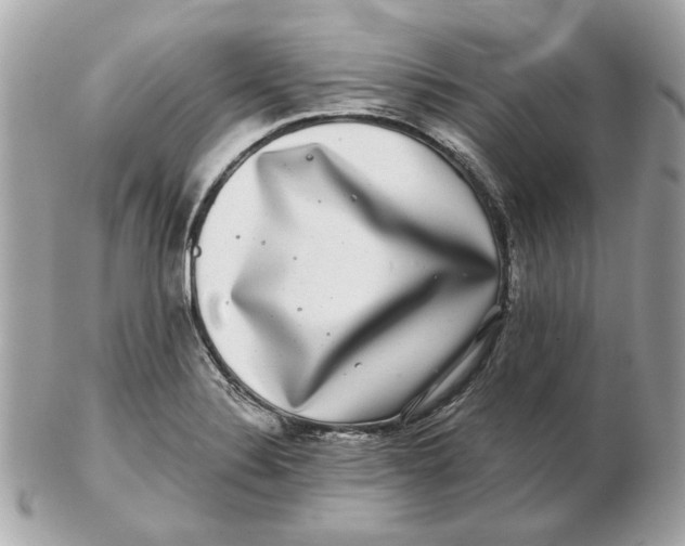 X0000102491324200808291640