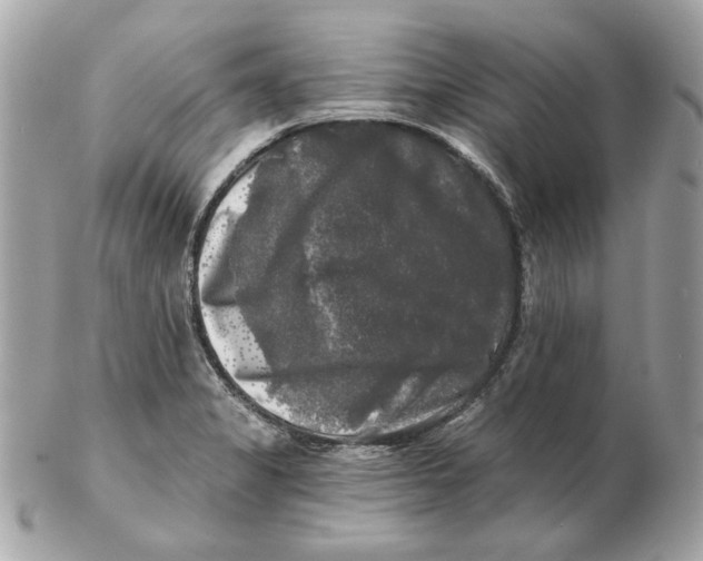 X0000102491325200808291640