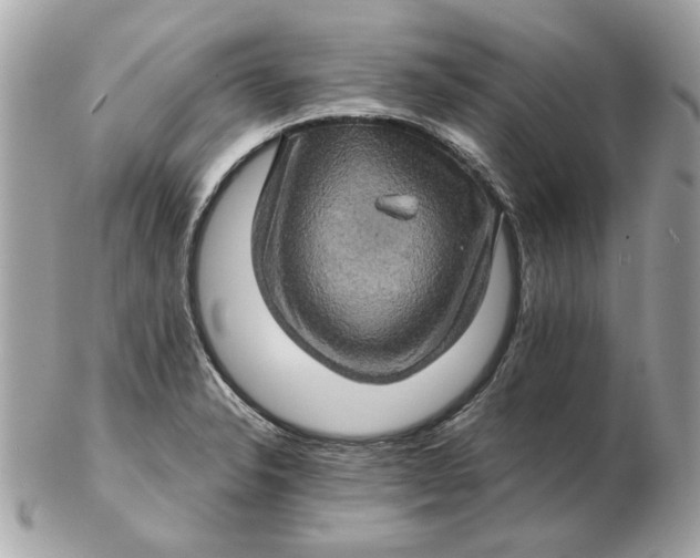 X0000102491326200808291640