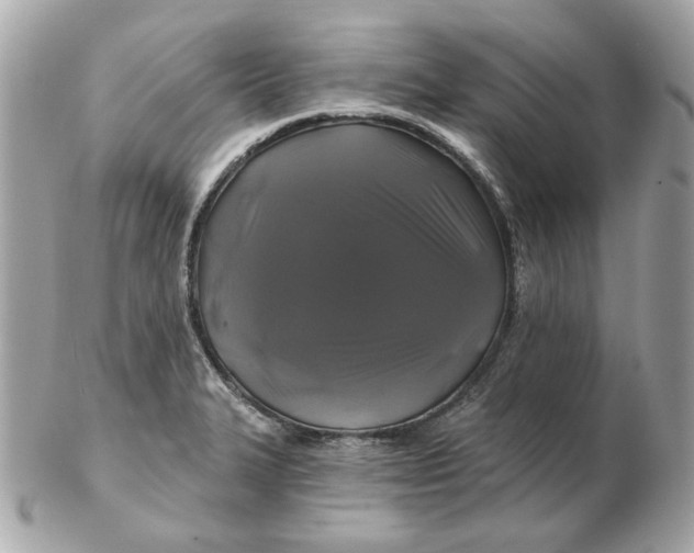 X0000102491327200808291640