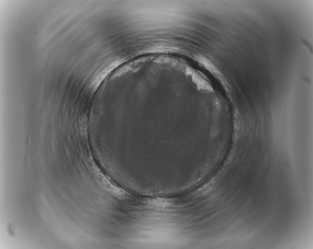 X0000102491329200808291640