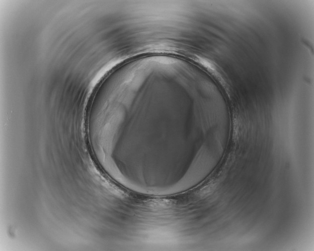 X0000102491331200808291640