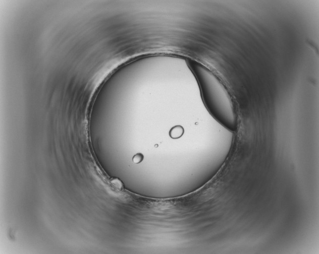 X0000102491332200808291640