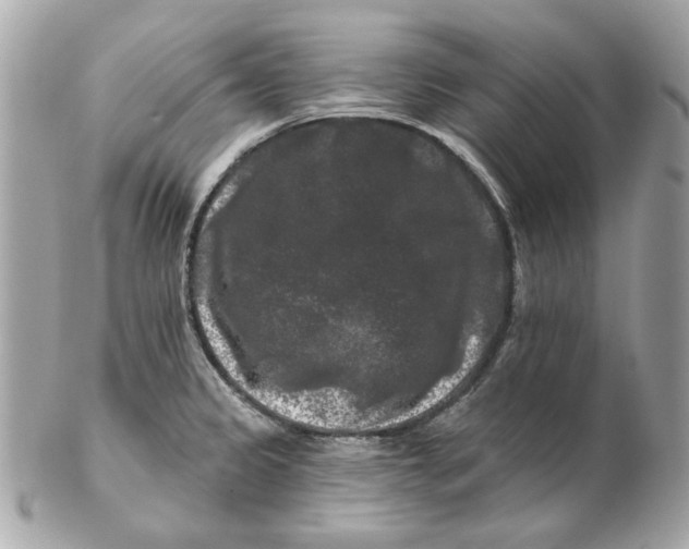 X0000102491333200808291640