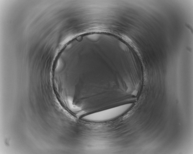 X0000102491334200808291640