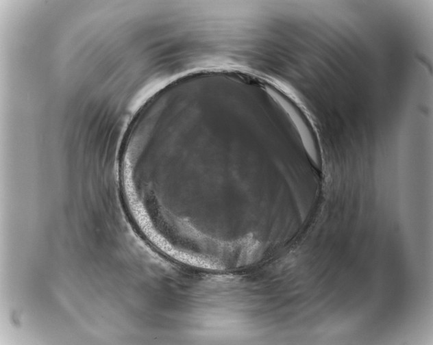 X0000102491335200808291640