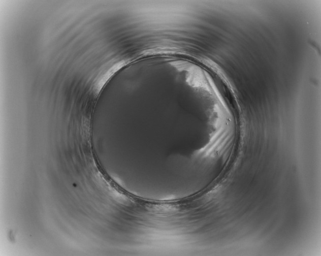 X0000102491337200808291640