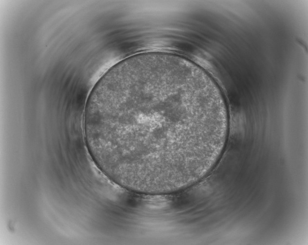 X0000102491338200808291641