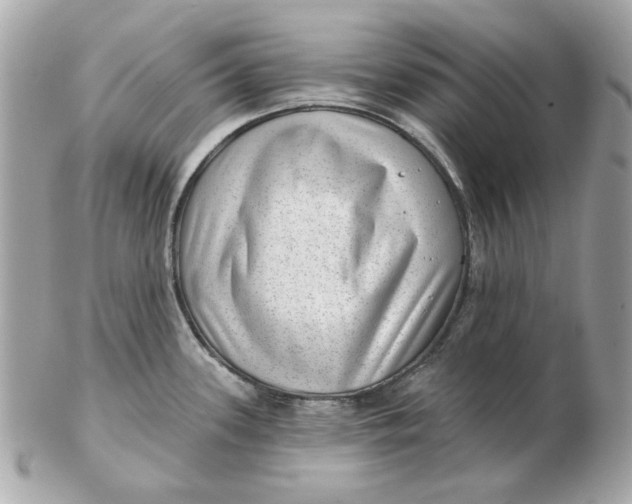 X0000102491339200808291641