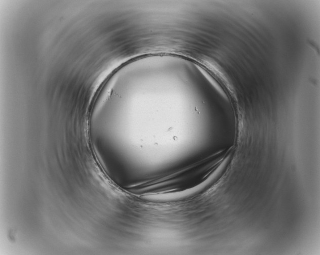 X0000102491340200808291641